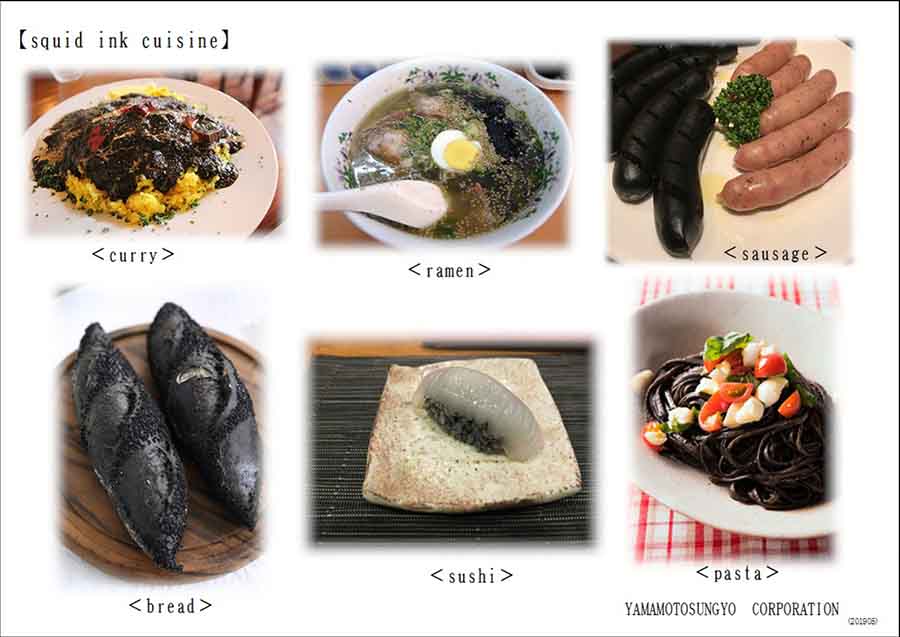 イカ墨ショップ公式 イカスミ いかすみ Squid Ink イカスミパウダーは山本産業有限会社